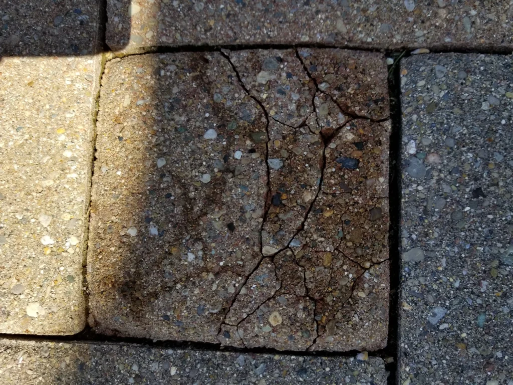 54632.52649372725 1